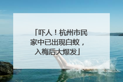 吓人！杭州市民家中已出现白蚁，入梅后大爆发
